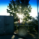 Illustration for article titled Shooting Challenge: Lens Flare Gallery Part Two